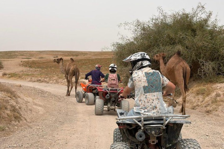 Un groupe de personnes se déplace sur un véhicule tout-terrain, un chameau et un cheval, sur un chemin de terre au milieu d’un paysage désertique. 5