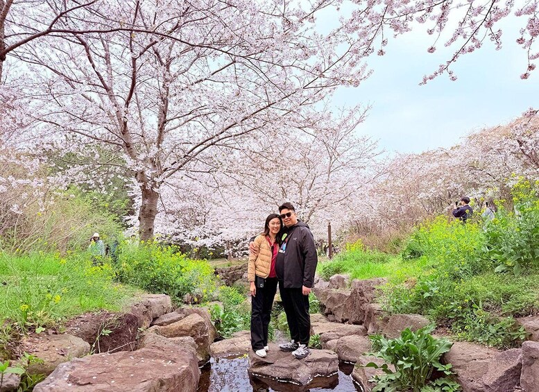 A couple standing on rocks with cherry blossoms in the background. 2
