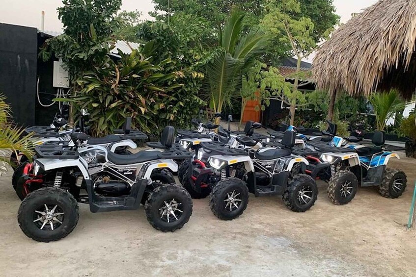 A row of ATVs parked in a dirt area with trees and a thatched-roof structure in the background. 2