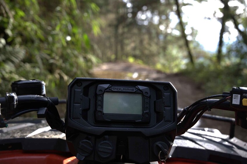 A vehicle dashboard with a GPS device displaying a forest trail. 5