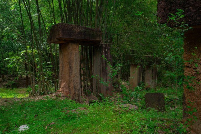 A forest with ancient stone structures, dense bamboo, and moss-covered ground. 5