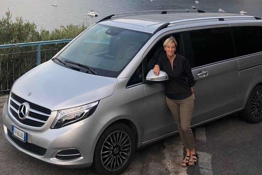 A silver Mercedes-Benz minivan parked by a waterfront with a person leaning on the door. 1