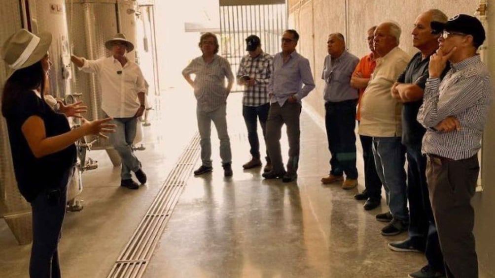 Picture 2 for Activity Wine tour and tasting at Vinícola Tierra de Luz 3
