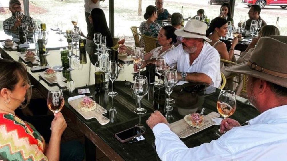 Picture 3 for Activity Wine tour and tasting at Vinícola Tierra de Luz 2