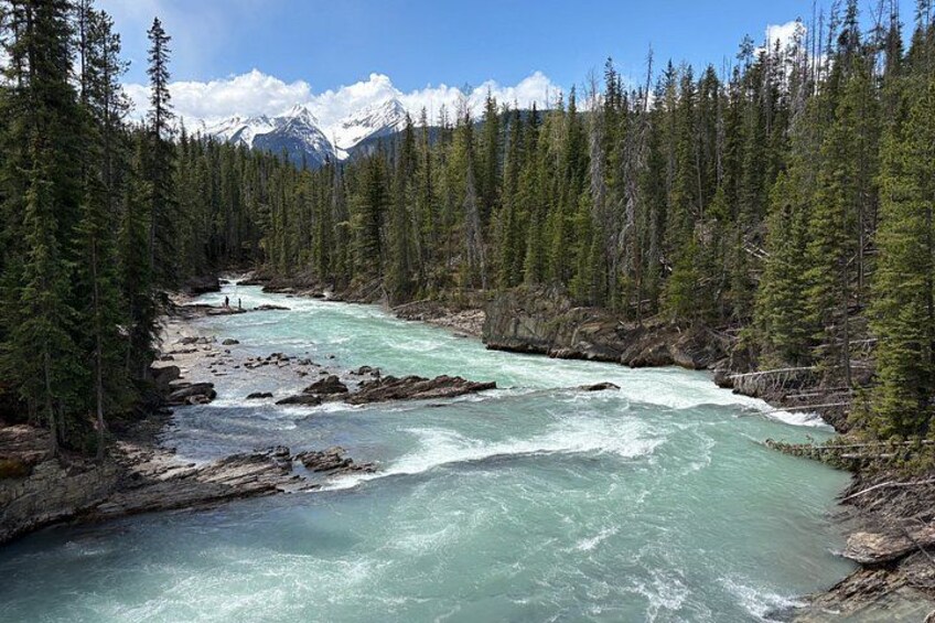 Private Moraine Lake, Lake Louise & Emerald Lake - From Calgary 5