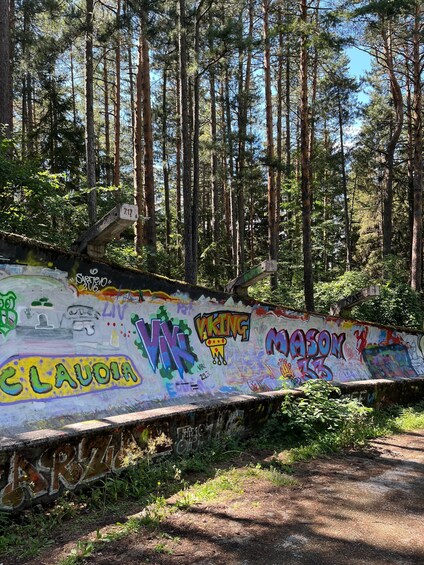 A forested area with a graffiti-covered wall and tall trees. 4