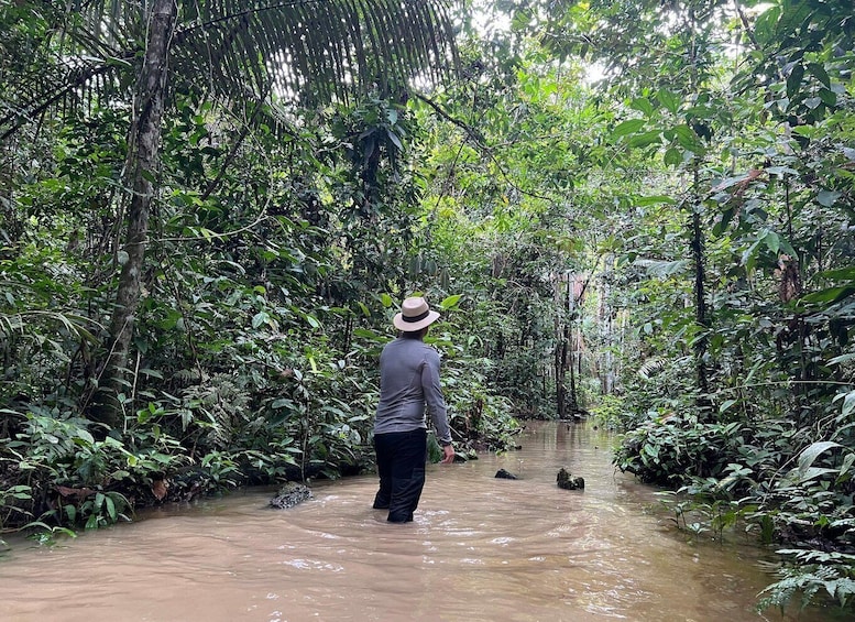 A person standing in a flooded forest path. 1