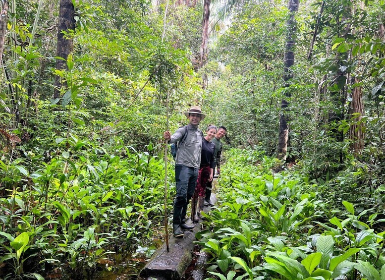 A person standing on a log in a dense forest. 2