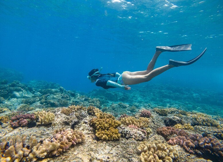 A diver swimming underwater with coral formations. 1