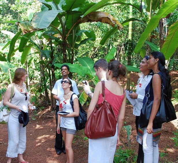 A group of people in a forested area with large banana leaves and trees. 3