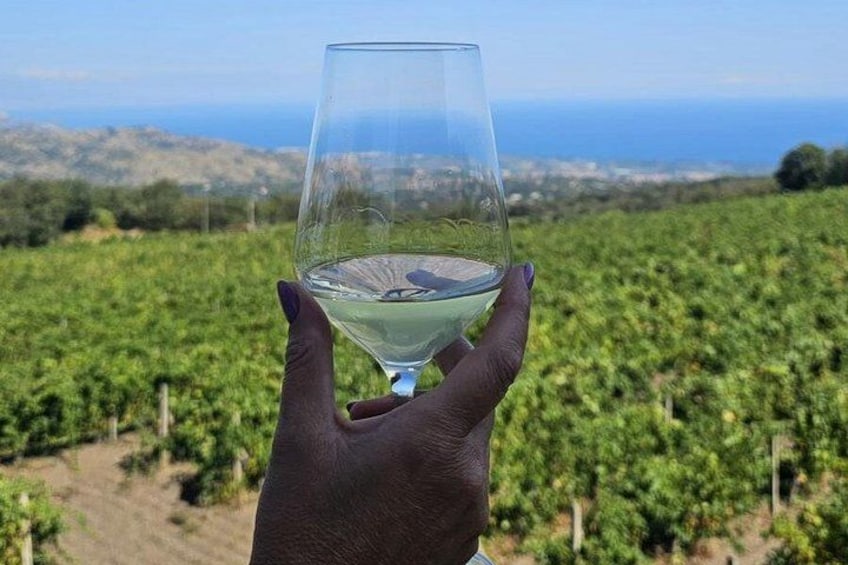 Eine Hand hält ein Weinglas, im Hintergrund ein Weinberg und in der Ferne die Meereslandschaft. 1