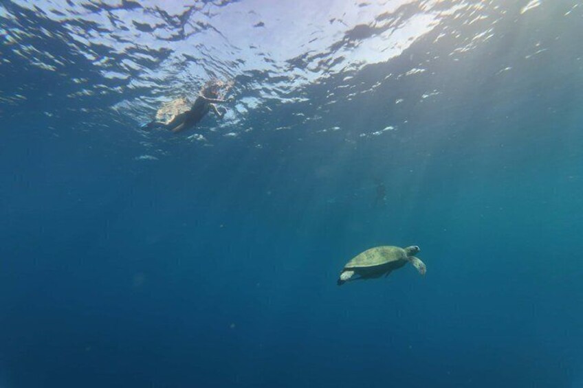 Coron Island Adventure Snorkeling Dugong Watching and More 2