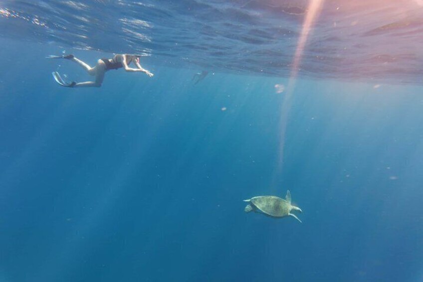 Coron Island Adventure Snorkeling Dugong Watching and More 3