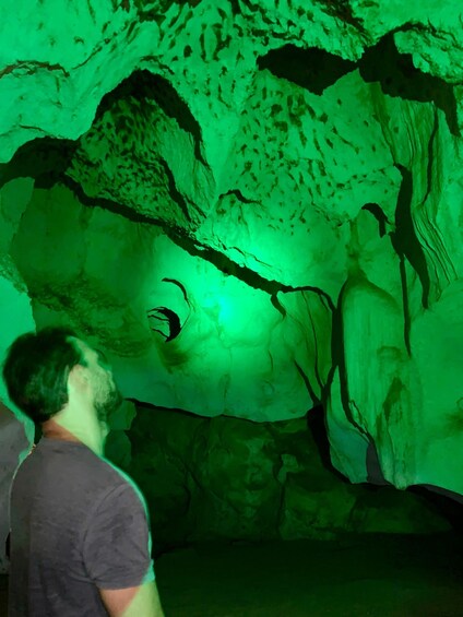 A person standing in front of a cave wall with green lighting. 3