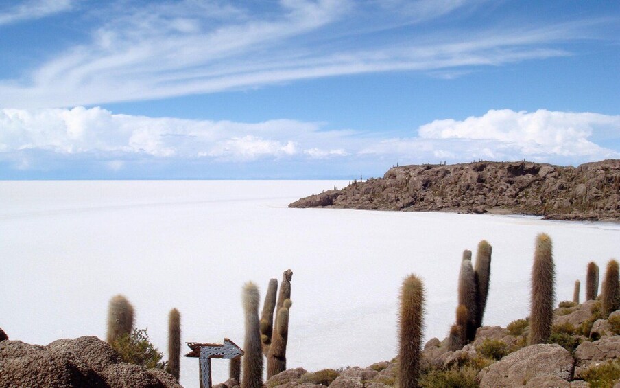 Picture 3 for Activity Uyuni: Salt Flats and Sunset Guided Tour with Lunch 2