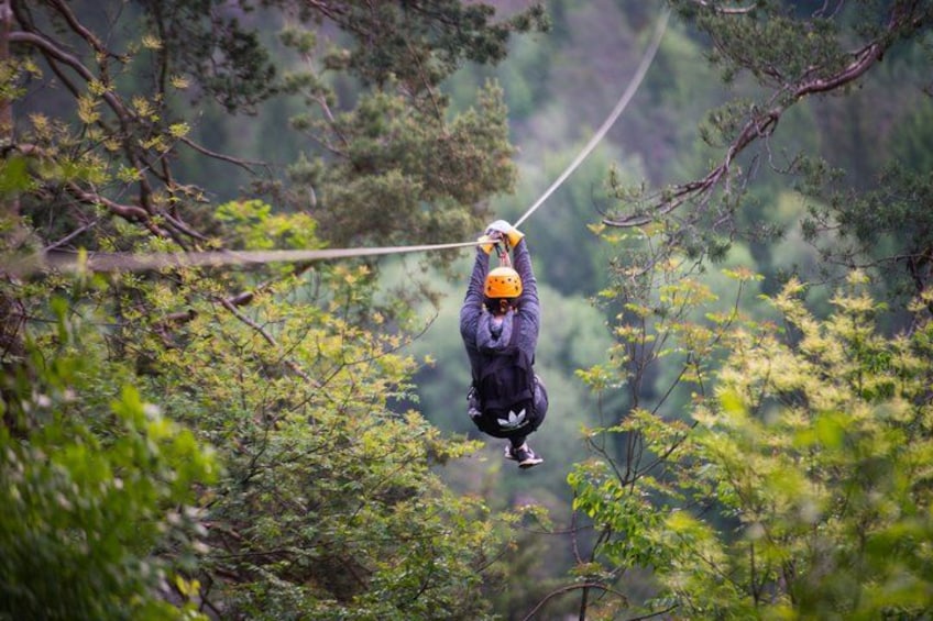 Iemand glijdt over een zipline door een bebost gebied. 5