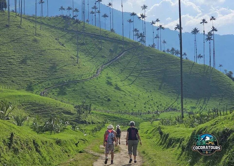 Picture 4 for Activity Salento: Mini Cocora Trek, Waterfall, Nature, and Tradition 2