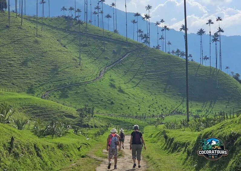 Picture 4 for Activity Salento: Mini Cocora Trek, Waterfall, Nature, and Tradition 2