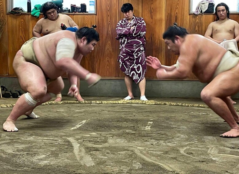 Picture 2 for Activity Osaka: Sumo Wrestling Real Practice Viewing Guided Tour 3
