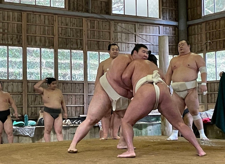 Osaka: Sumo Wrestling Real Practice Viewing Guided Tour 1