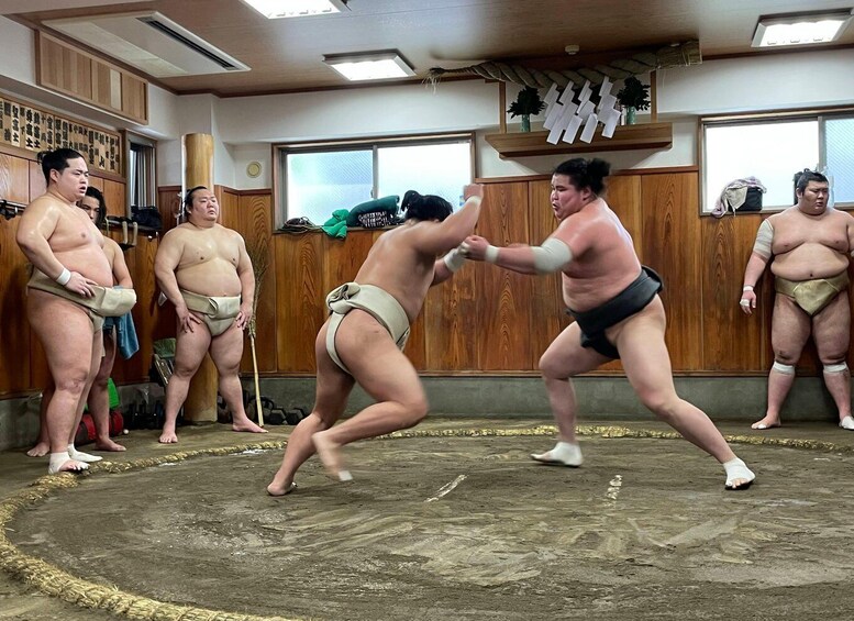 Picture 1 for Activity Osaka: Sumo Wrestling Real Practice Viewing Guided Tour 2
