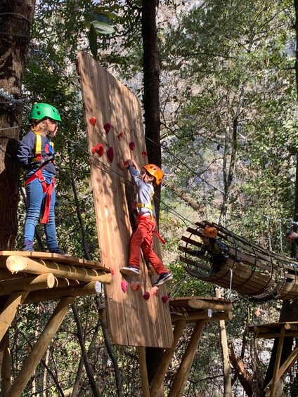 Picture 4 for Activity Nice: Tree climbing discovery for kids in a natural setting 2
