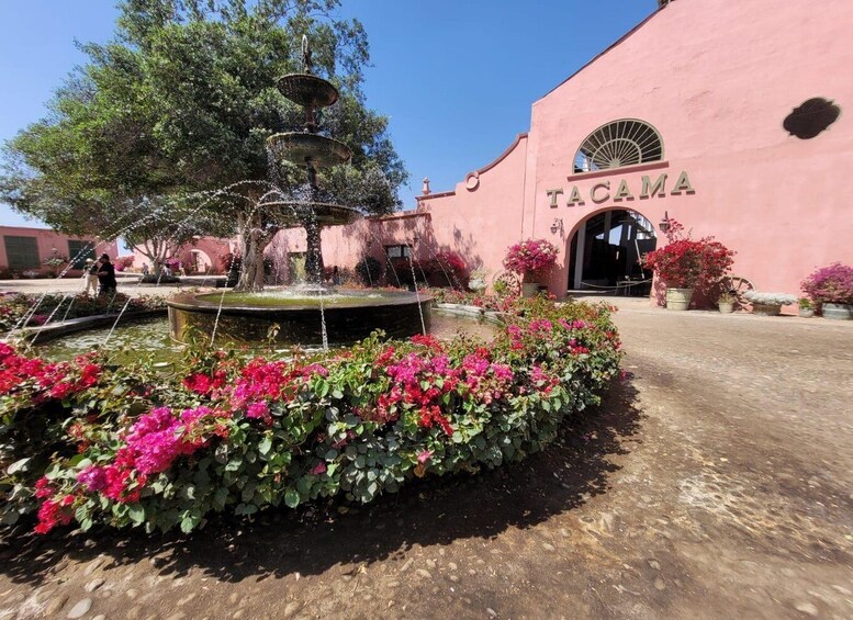 A pink building with a fountain and pink flowers in front. 4