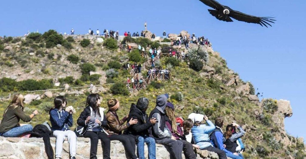 A group of people sitting on a rocky hillside, with a bird flying overhead. 2