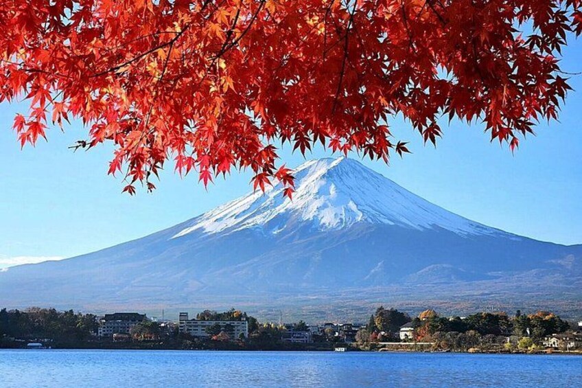 A snow-capped mountain, a body of water, and autumn leaves. 1