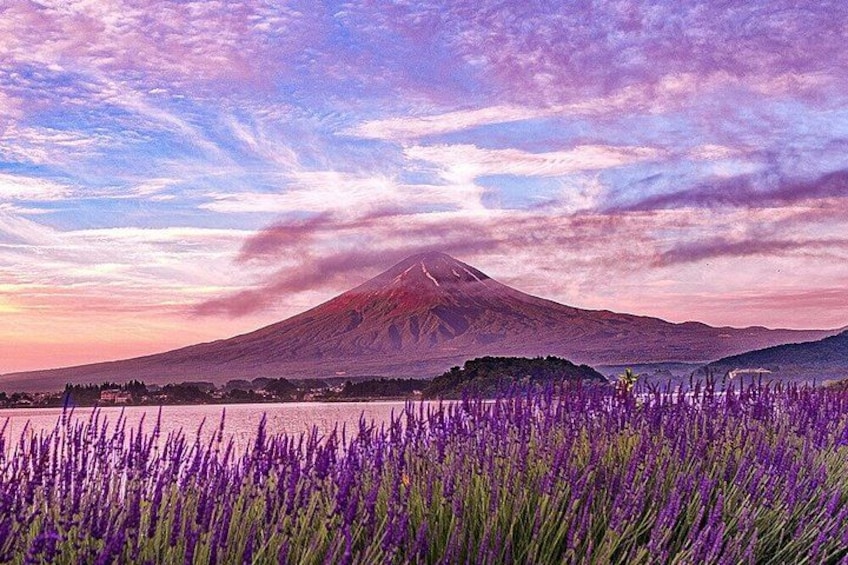 A mountain, a lake, and purple flowers. 3