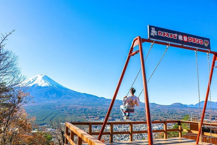 A person on a swing overlooking a mountainous landscape with a snow-capped peak in the distance. 5