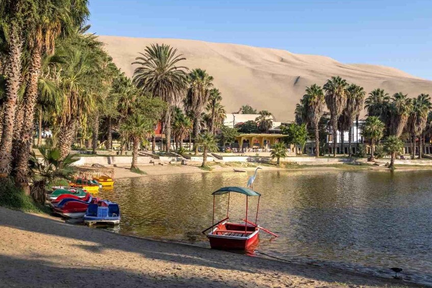 A calm lake with boats, palm trees, and a sand dune in the background. 5