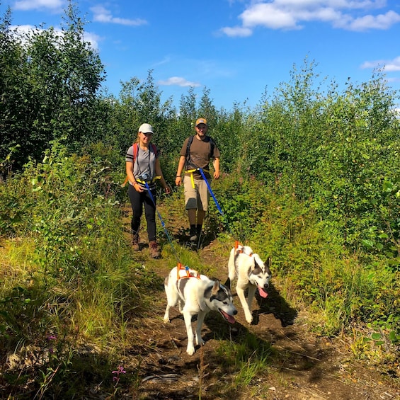 Two people hiking with two dogs on a trail surrounded by greenery. 1