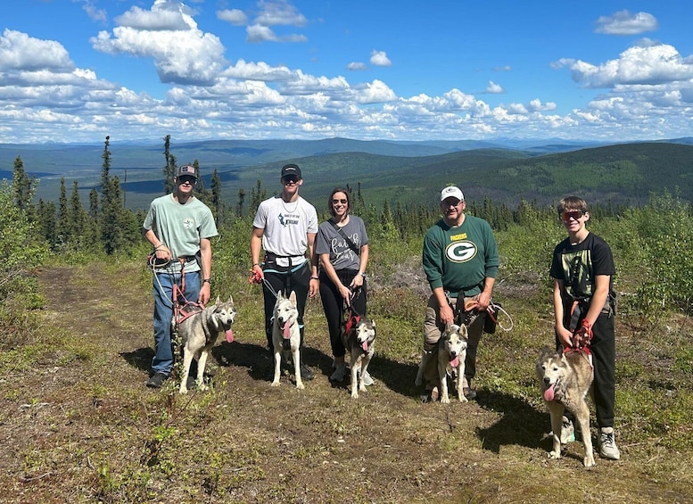 A group of people and dogs on a mountain trail with a scenic view of mountains and trees. 4