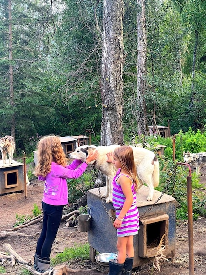 Two children petting a white dog in a wooded area with wooden structures. 3