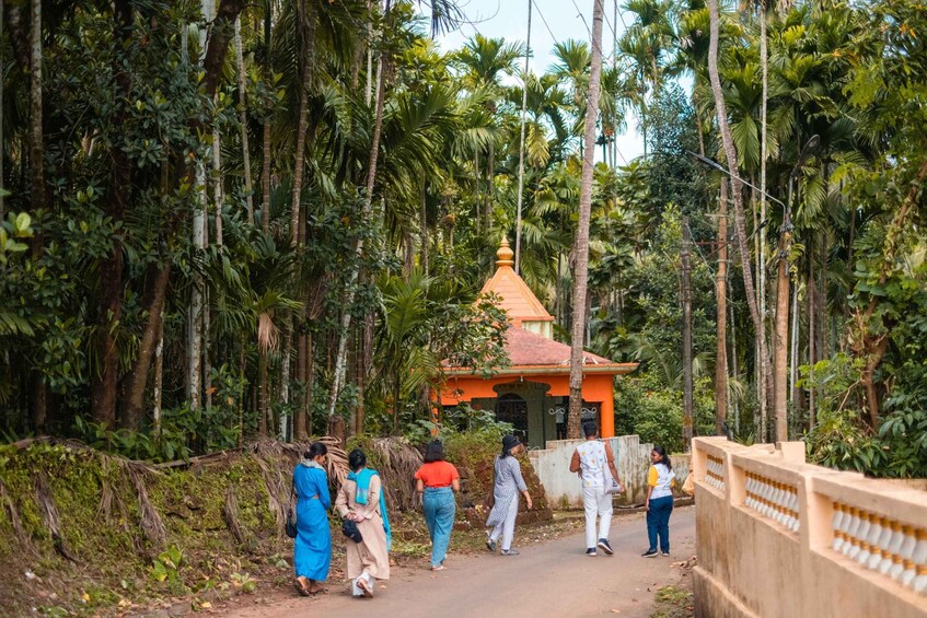 A group of people walking on a path surrounded by tall trees and a small temple with an orange roof. 5