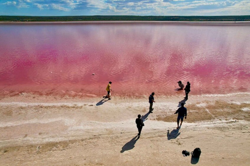 Picture 1 for Activity Kalbarri: Pink Lake and Coastal Cliffs Tour 4