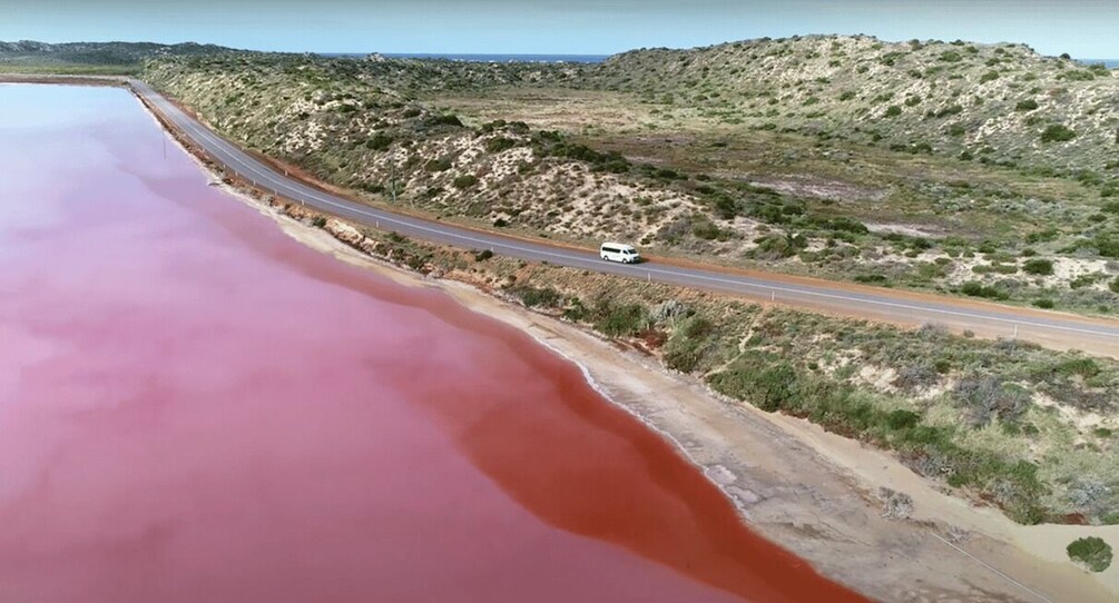 Picture 2 for Activity Kalbarri: Pink Lake and Coastal Cliffs Tour 5