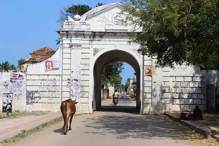Picture 3 for Activity Private Day Tour from Pondicherry to Tranquebar Treasures 2