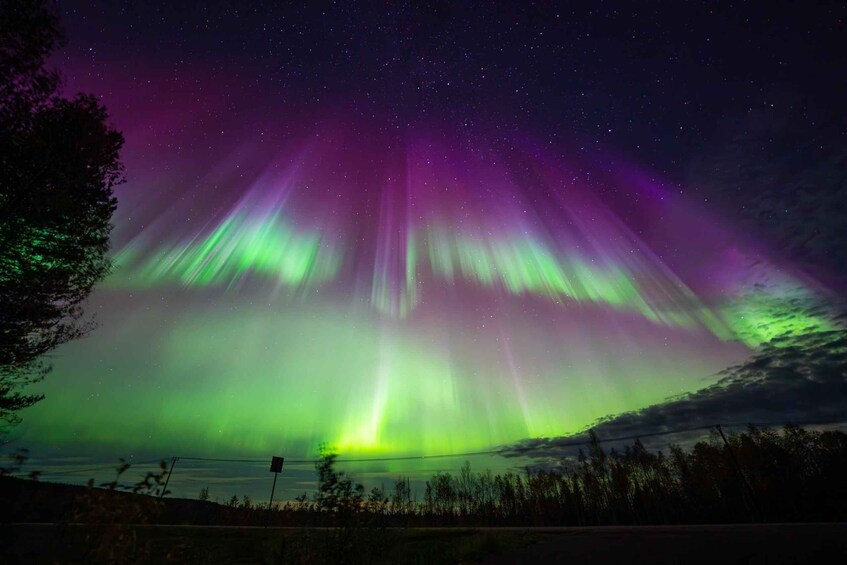 The Northern Lights (Aurora Borealis) over a forested landscape. 4