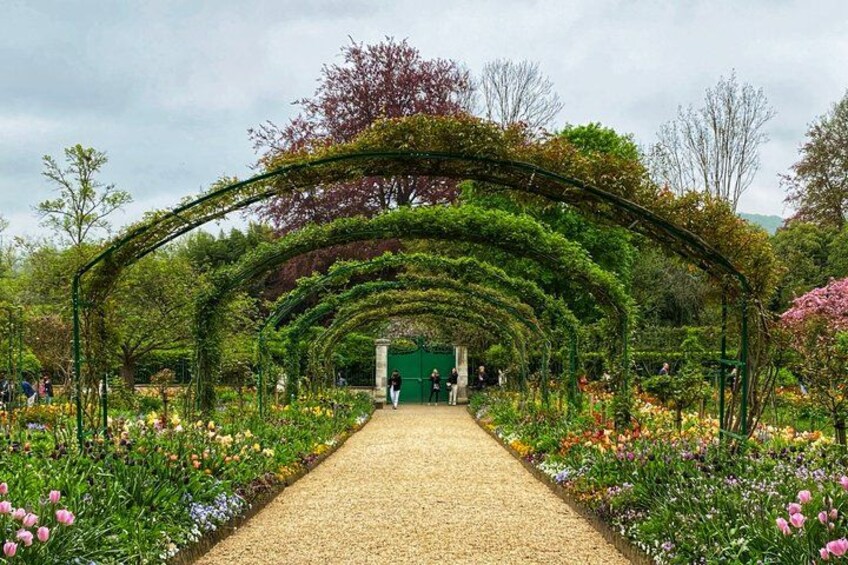 A garden pathway with a green archway, surrounded by various flowers and plants. 1