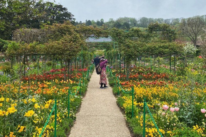 A garden path with a variety of flowers and a person walking. 2
