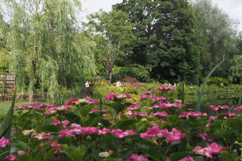 A garden with pink flowers, trees, and a pond. 4
