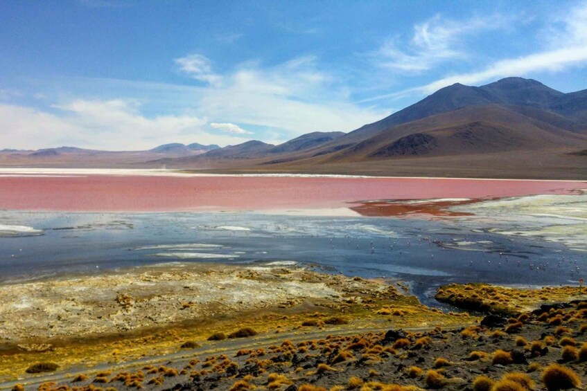 A salt flat with pink salt deposits, surrounded by mountains. 4
