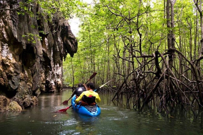 A kayak navigating a narrow waterway flanked by dense mangrove trees and rocky cliffs. 4