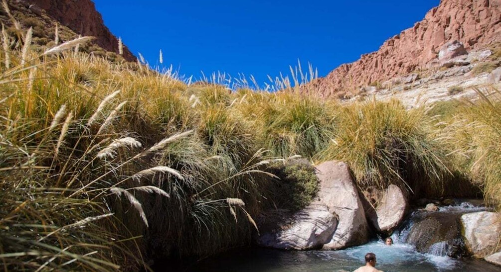 Un fiume che scorre attraverso un canyon roccioso, con erba alta e un cielo azzurro intenso. 2