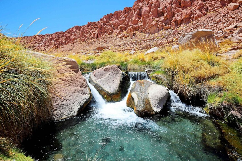 Un torrente cristallino che scorre su rocce in un paesaggio roccioso con vegetazione rada. 1