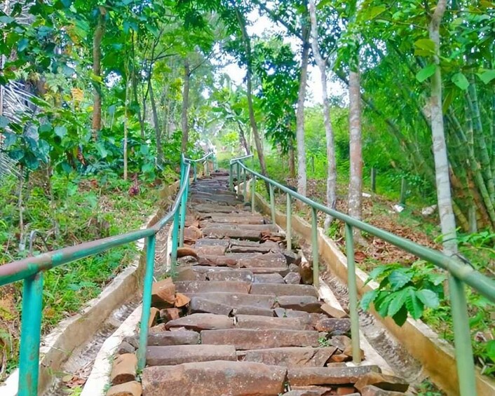 A stone staircase surrounded by lush greenery. 2