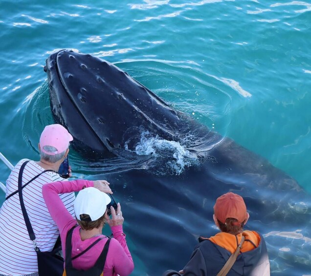 A whale breaching the water's surface with people observing. 5