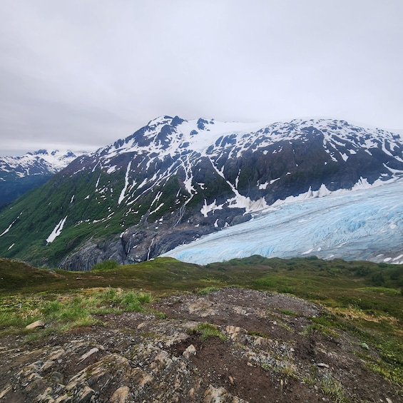 Seward: Guided Marmot Meadows Hike with Lunch 1